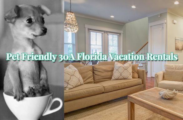 30a-pet-friendly-vacation-rentals-30a-escapes