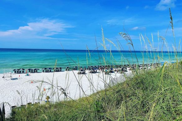 30a brewery tour